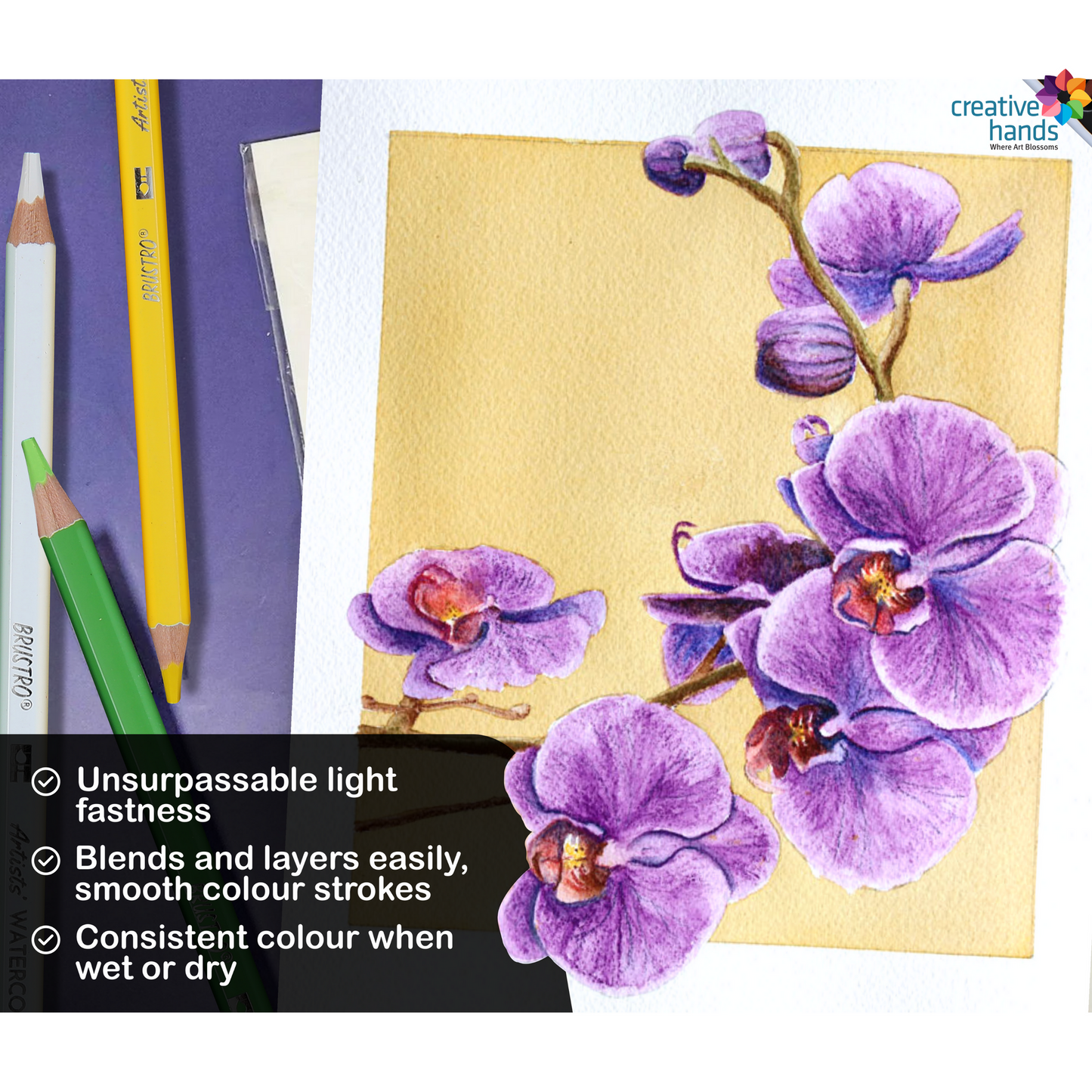 BRUSTRO Artists Watercolour Pencil |Set of 24 (in Elegant tin Box)