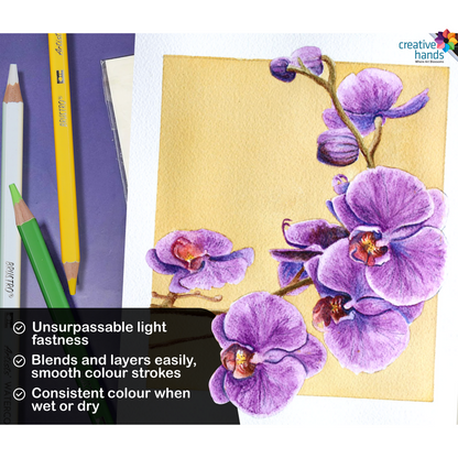 Brustro Artists Watercolour Pencils | Set of 72 Colors in Elegant tin Box |4mm Leads