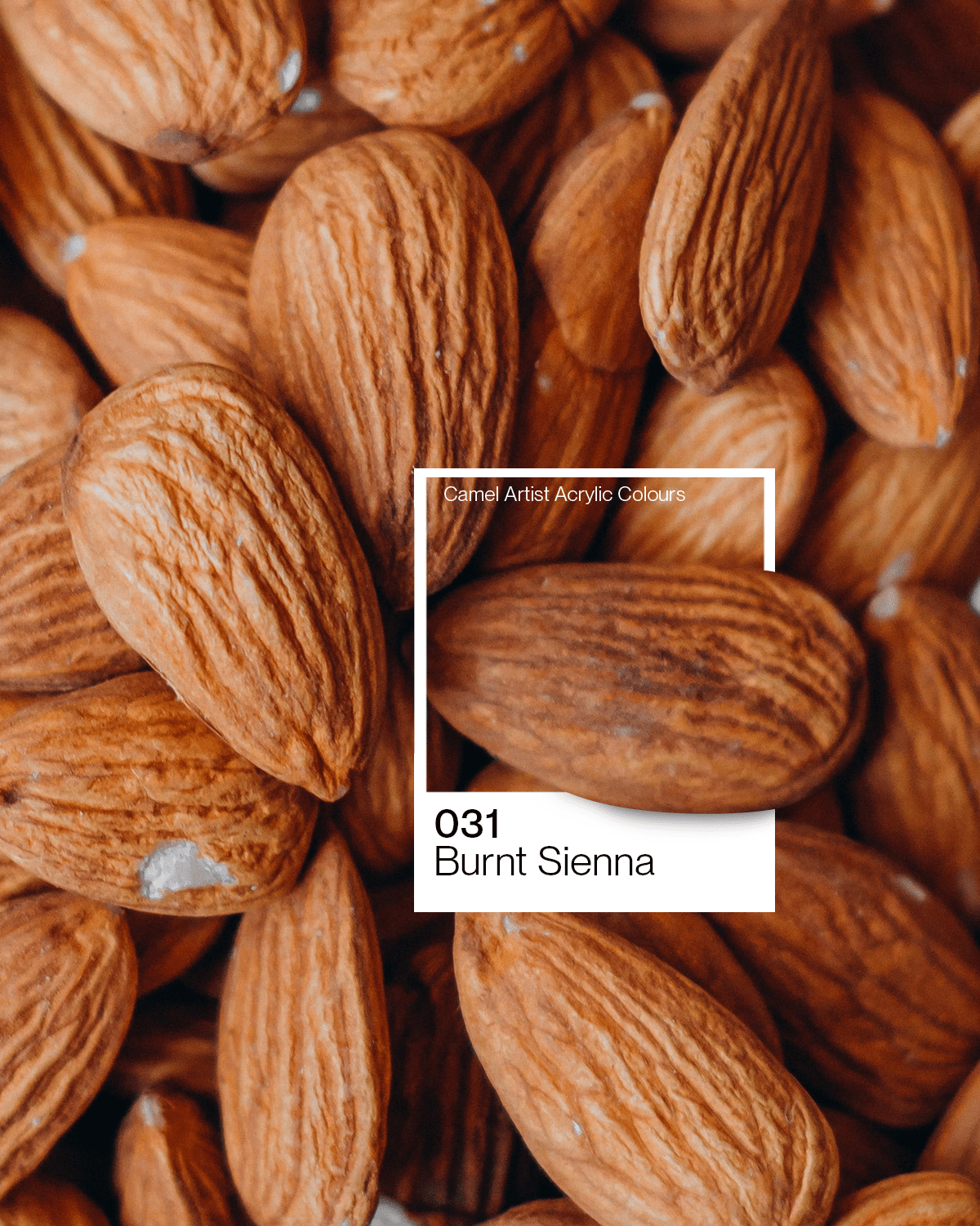 Camel Artist Acrylic Colours - Burnt Sienna (031) 500 ml jar