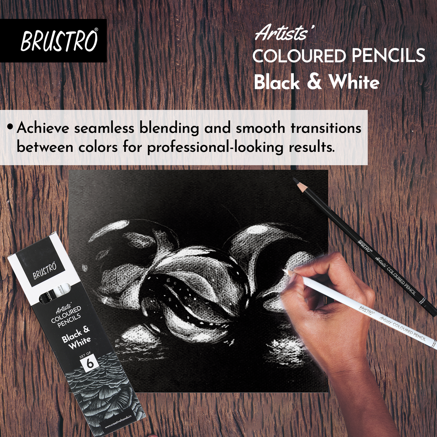 BRUSTRO Artists Coloured Pencils | Black & White | Set of 6 ( 3 Whites and 3 Blacks )