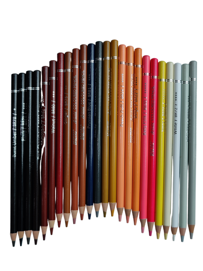 BRUSTRO Artist's Colour Pencil Skin Tone| Set of 24 (in an Elegant tin Box)