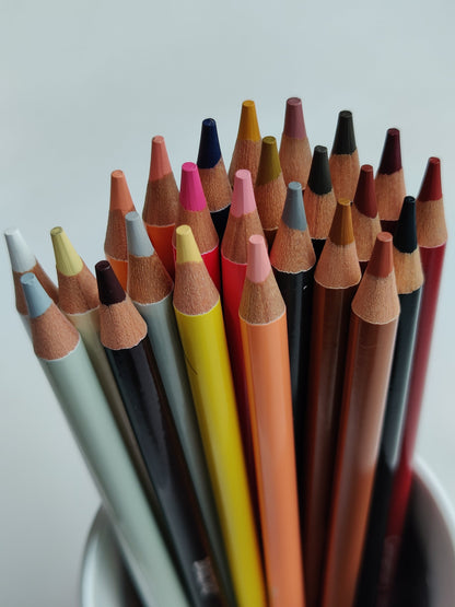 BRUSTRO Artist's Colour Pencil Skin Tone| Set of 24 (in an Elegant tin Box)
