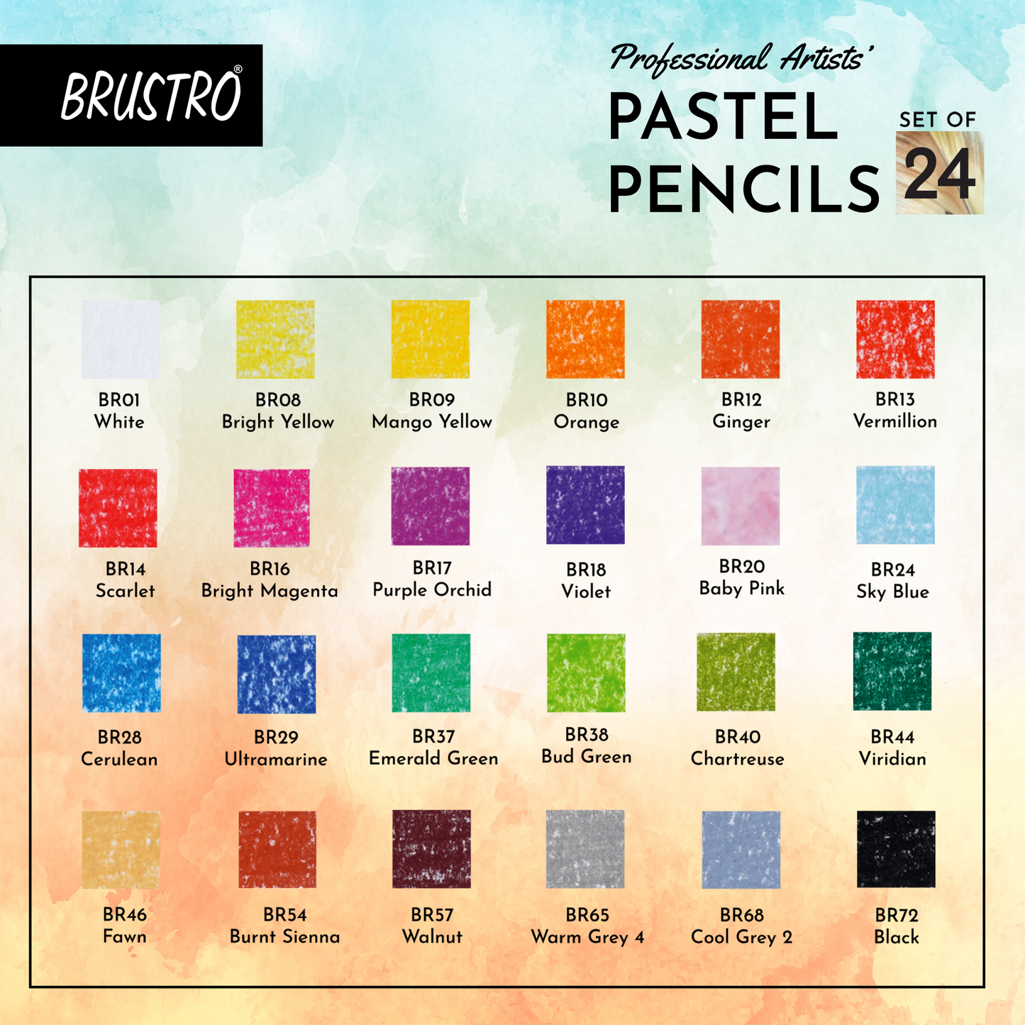 BRUSTRO Artists Pastel Pencils - Set of 24 Shades - 4mm Lead |Erasable, High Pigmented