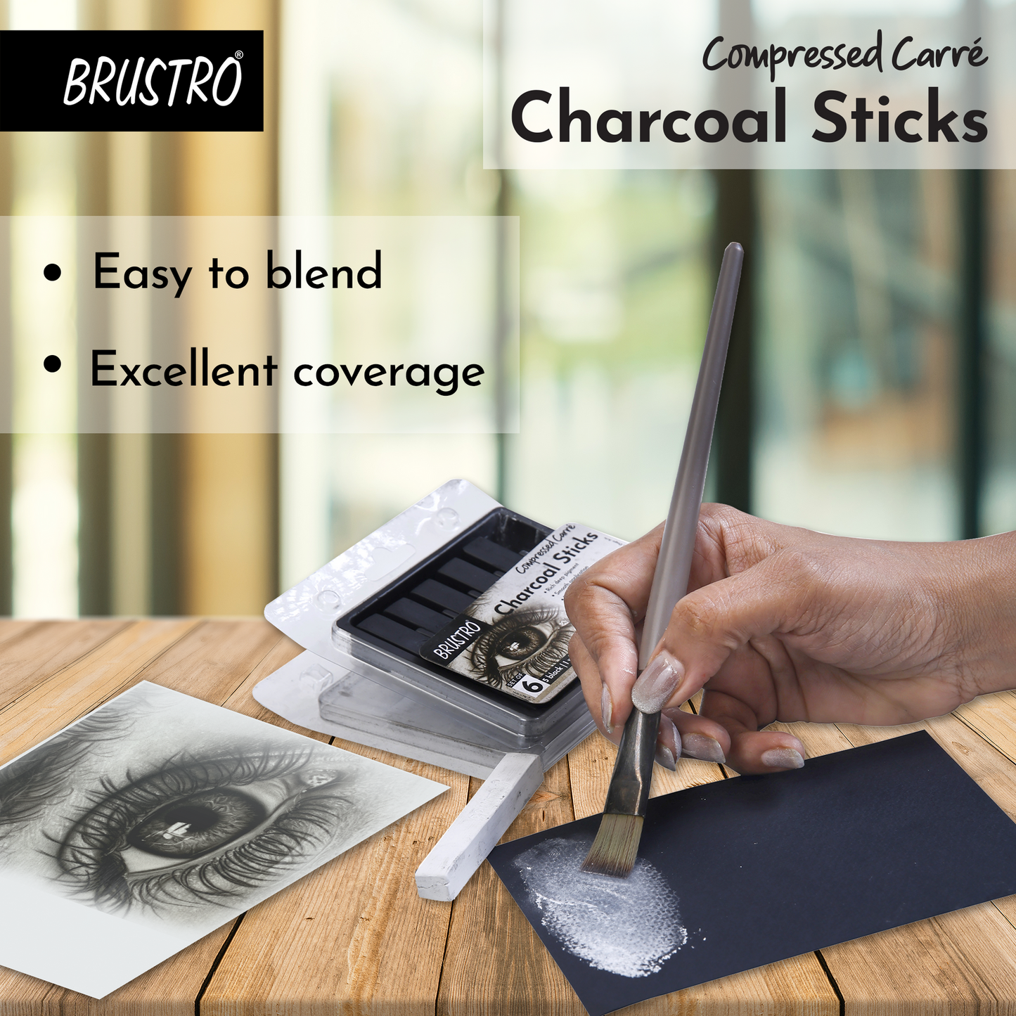 BRUSTRO Compressed Carre Charcoal Sticks - Set of 6 (5 Black & 1 White Stick)