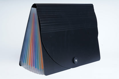 Brustro EZExpand A4 Folder 13 Pocket Expanding File Folder