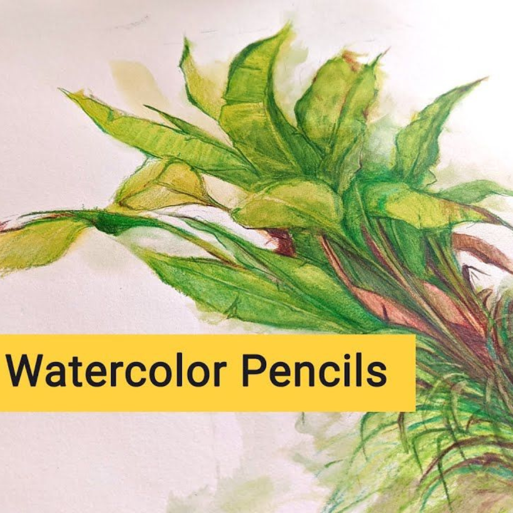 Brustro Artists Watercolour Pencils | Set of 72 Colors in Elegant tin Box |4mm Leads