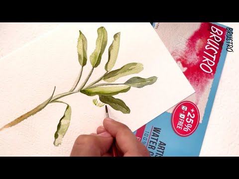 Brustro Artists’ Watercolour paper 100% cotton CP 300 Gsm A2 (5 Sheets)